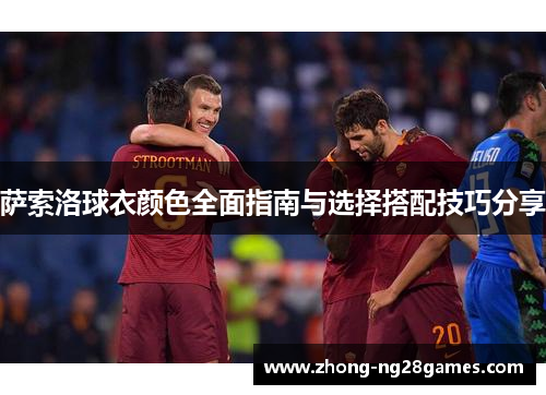 萨索洛球衣颜色全面指南与选择搭配技巧分享