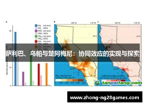 萨利巴、乌帕与楚阿梅尼：协同效应的实现与探索