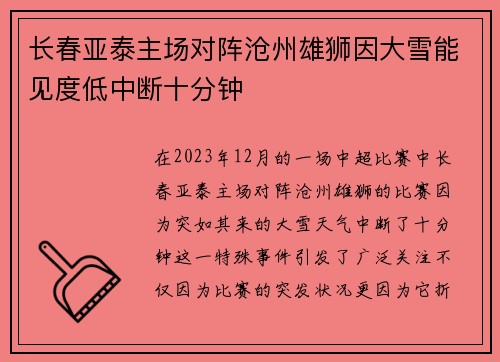 长春亚泰主场对阵沧州雄狮因大雪能见度低中断十分钟